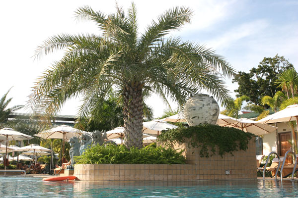 Am Pool des Thai Garden Resort Pattaya,