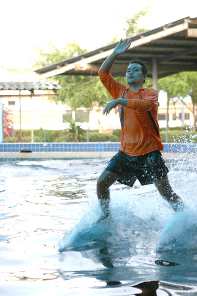 Auf Fischen reiten - Delphin Show in der Oasis Sea World