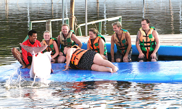 Der Pinguin legt sich neben das nasse Getier.