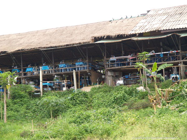Am Goldenen Dreieck in Thailand