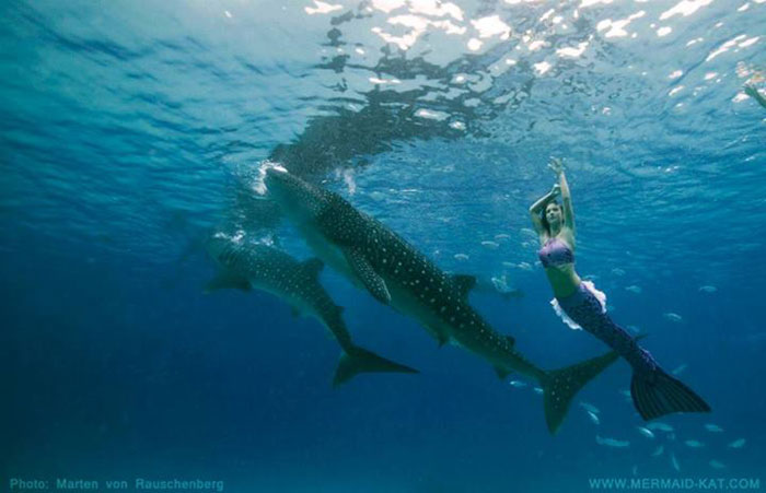 Die Meerjungfrau von Phuket