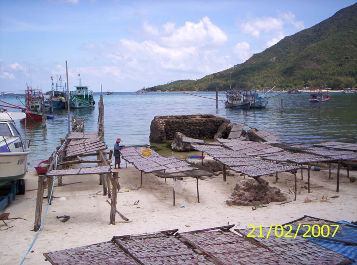 Fische trocknen in der Luft