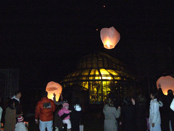 Lichtlaternen im Botanischen Garten 2008