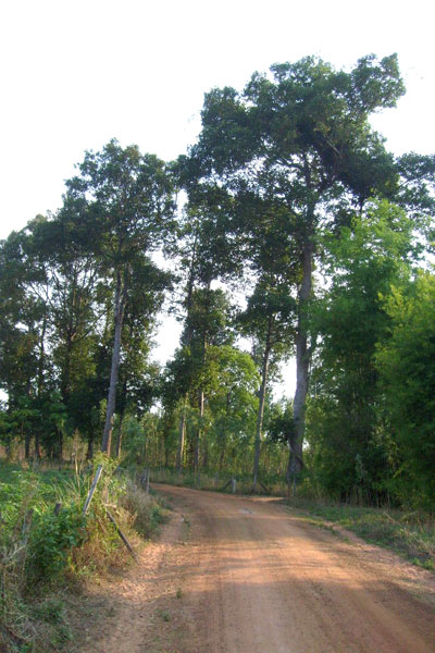 Landweg im Nordosten Thailands.