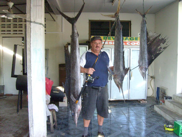 Schweine-Dieter in seinem Element.