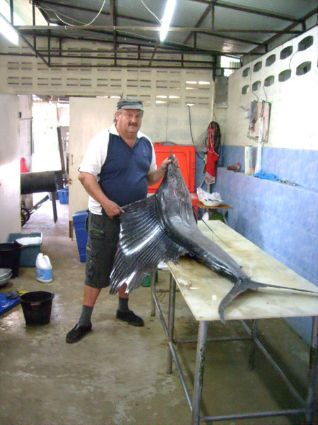 Schweine-Dieter mit dem Merlin.