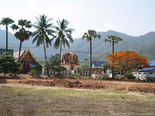 Kleine Tempel und Palmen in Thailand