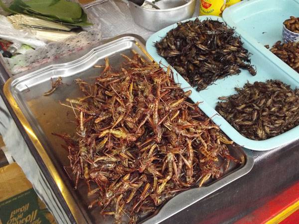 Pattaya Floating Market