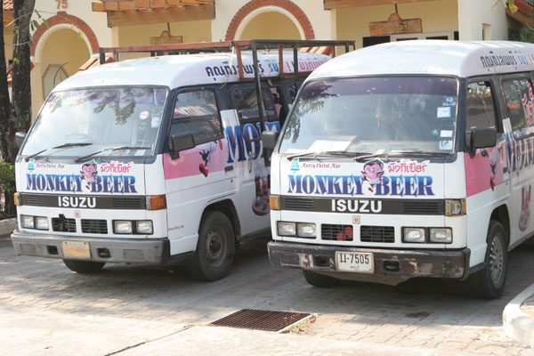 Werbung für das Affen Bier in Lopburi