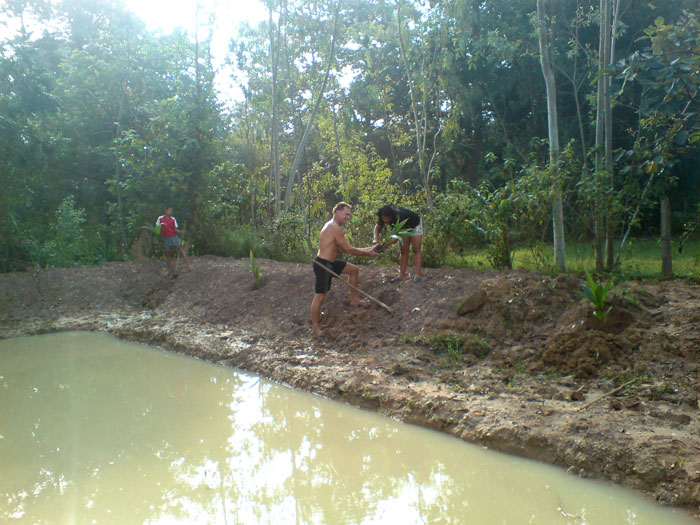 Franky baut auch einen kleinen Teich mit Fischen direkt am Haus