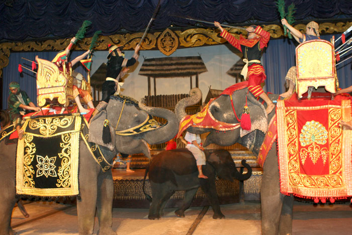 Diese Kriegselefanten spielen eine Kampfszene nach