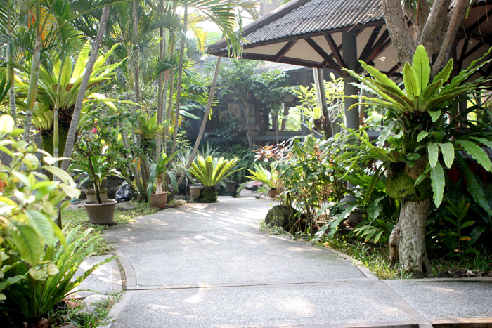 Viel Grün im Sea Lodge