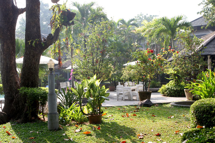 Herrlicher tropische Garten im Sea Lodge