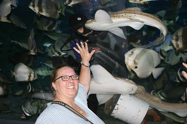 Underwater World fast zum Anfassen