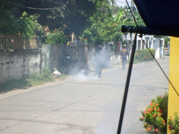 Kammerjäger machen in Pattaya richtig Dampf.