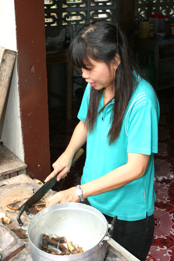 Thaifrau Rob bereitet die Schlange zu