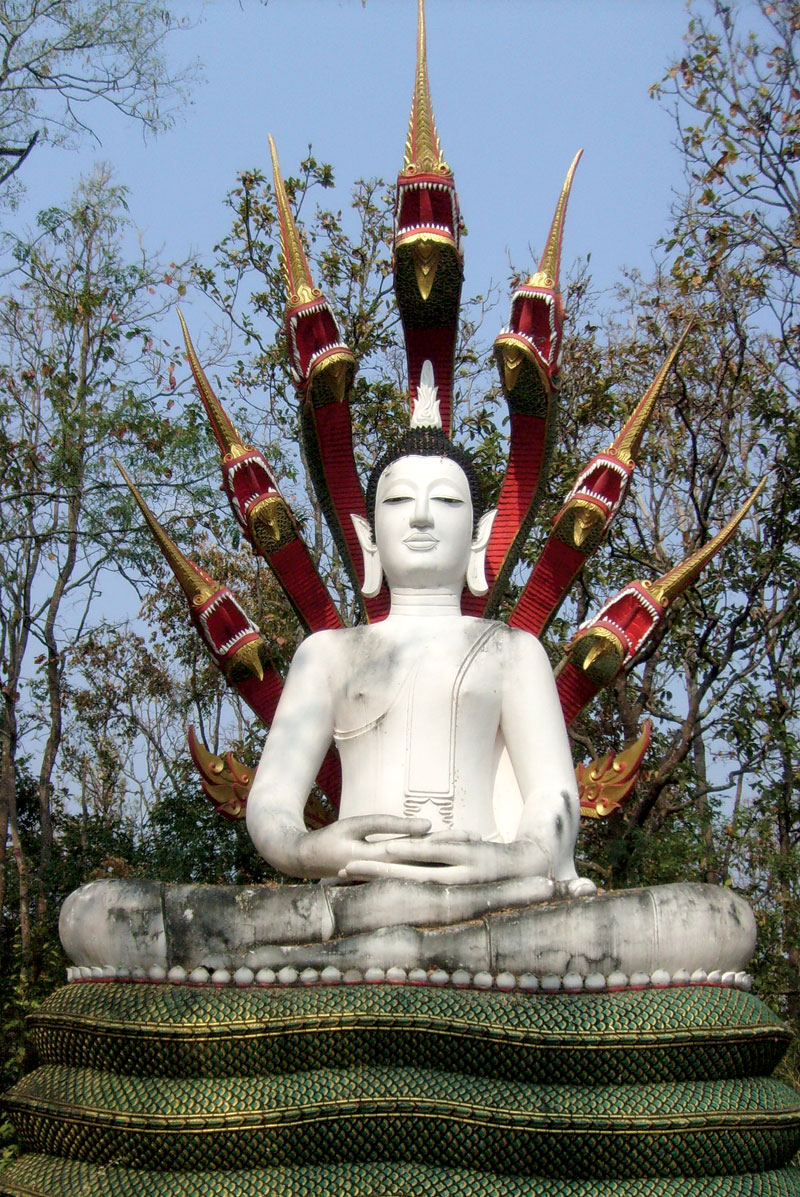 Buddha mit Nangas im Park von Wat Ananyo