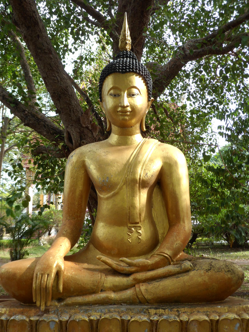 Buddha im Wat Tha Klaeng
