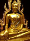 Buddha im Wat in Freising